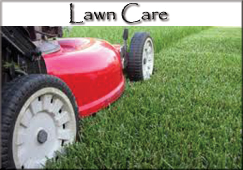 Lawn Care Services